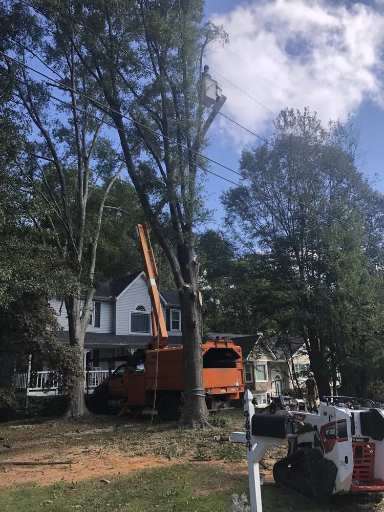 Affordable outdoor landscaping in Carrollton, GA - Arbor West Tree Service