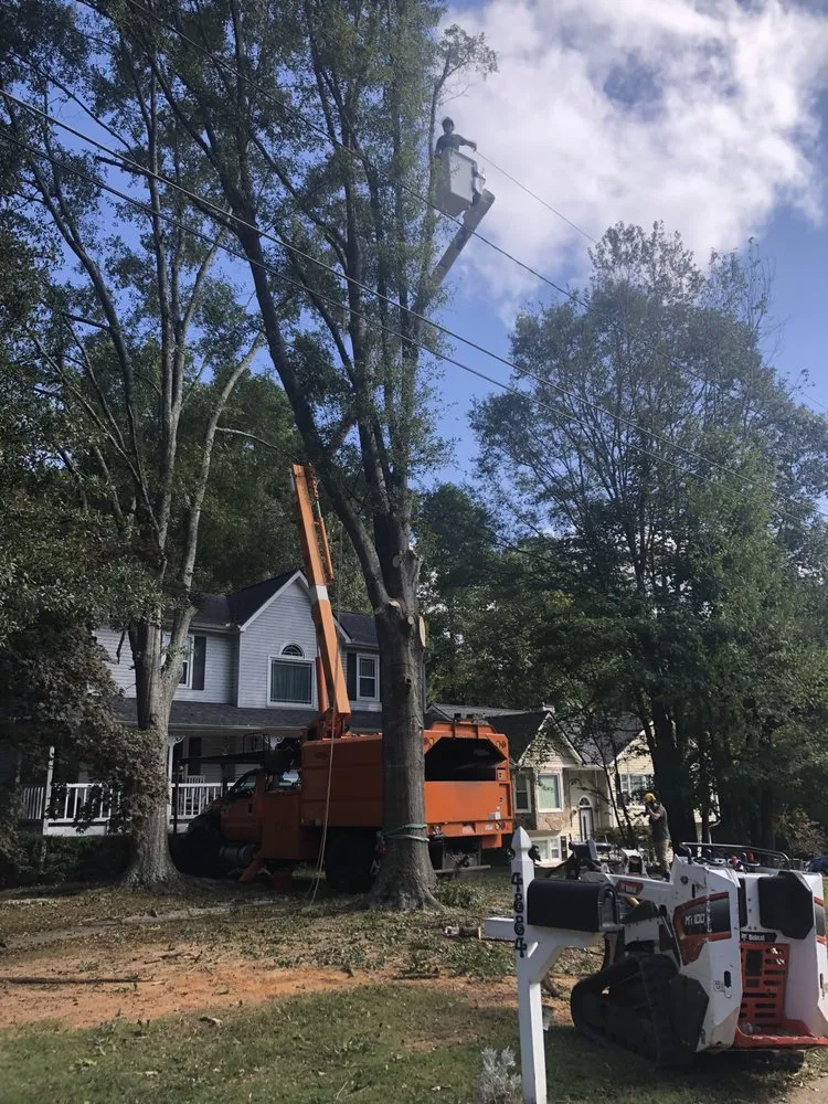 Custom yard maintenance in Carrollton, GA by Arbor West Tree Service
