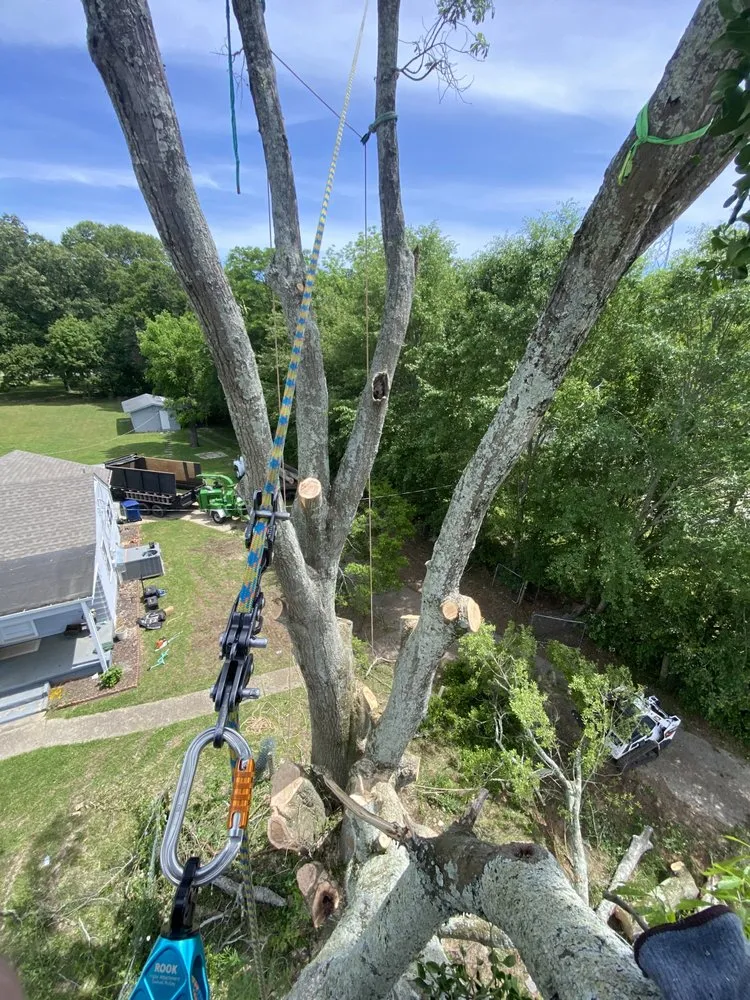 Trusted landscape installation in Carrollton, GA - Arbor West Tree Service