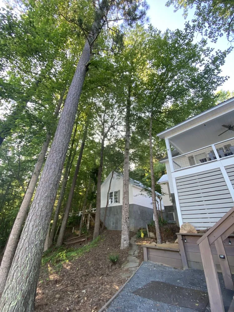 Custom garden landscaping experts serving Carrollton, GA - Arbor West Tree Service