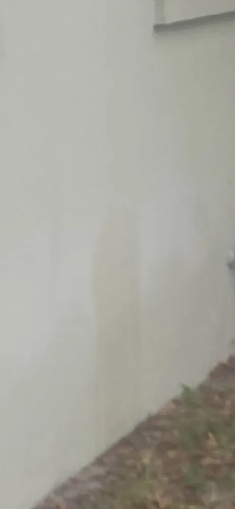 Affordable yard maintenance in Saint Petersburg, FL by Arbor Wise Professional Tree Care