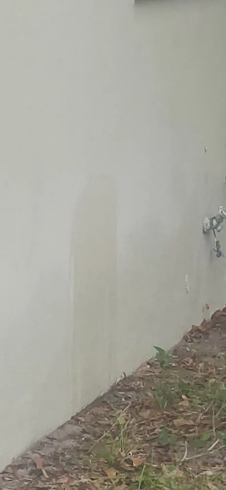 Top-rated outdoor landscaping in Saint Petersburg, FL by Arbor Wise Professional Tree Care