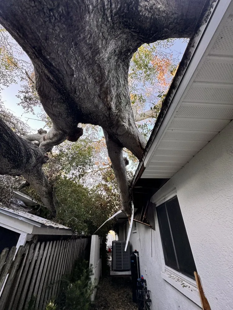 Top-rated landscape design for outdoor upgrades in Saint Petersburg, FL by Arbor Wise Professional Tree Care