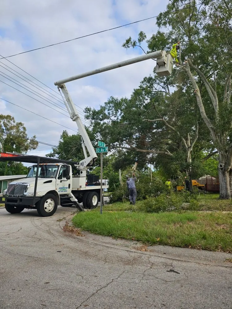 Custom lawn mowing service for residential properties across Saint Petersburg, FL - Arbor Wise Professional Tree Care