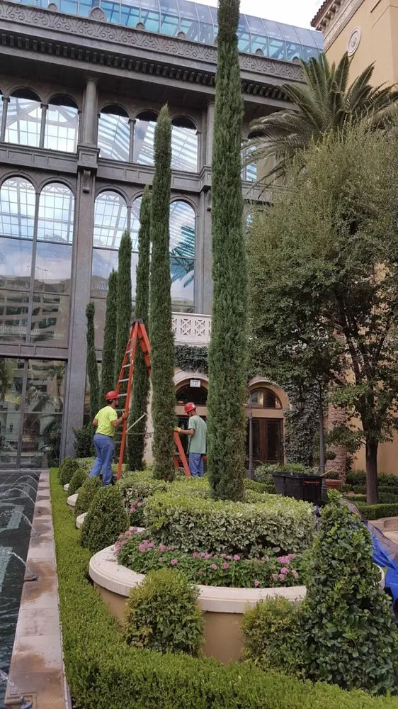Reliable landscaping services in Las Vegas, NV - Arbor Works