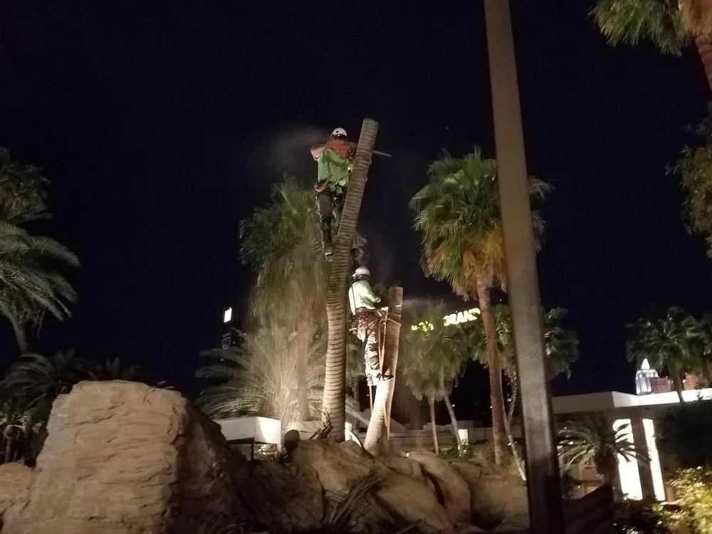 Top-rated lawn mowing service in Las Vegas, NV by Arbor Works