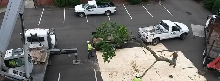 Affordable landscape installation experts serving Zanesville, OH - Arbor Works