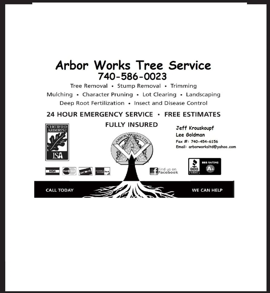 Reliable yard cleanup service in Zanesville, OH by Arbor Works
