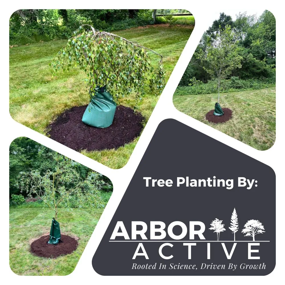 Professional landscaping services in Thompson, CT - ArborActive
