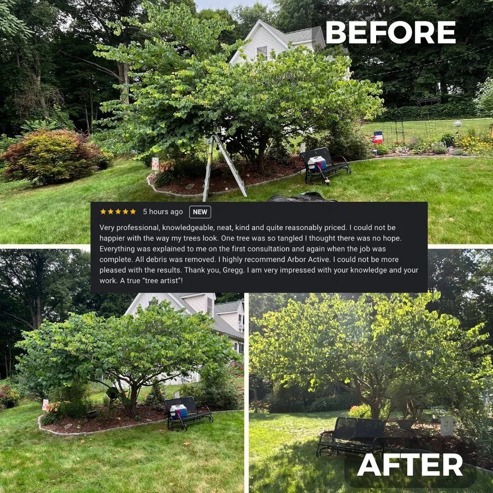 Professional garden landscaping for beautiful yards across Thompson, CT - ArborActive
