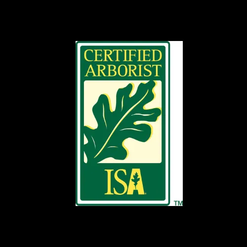 Reliable outdoor landscaping with custom design across Thompson, CT - ArborActive