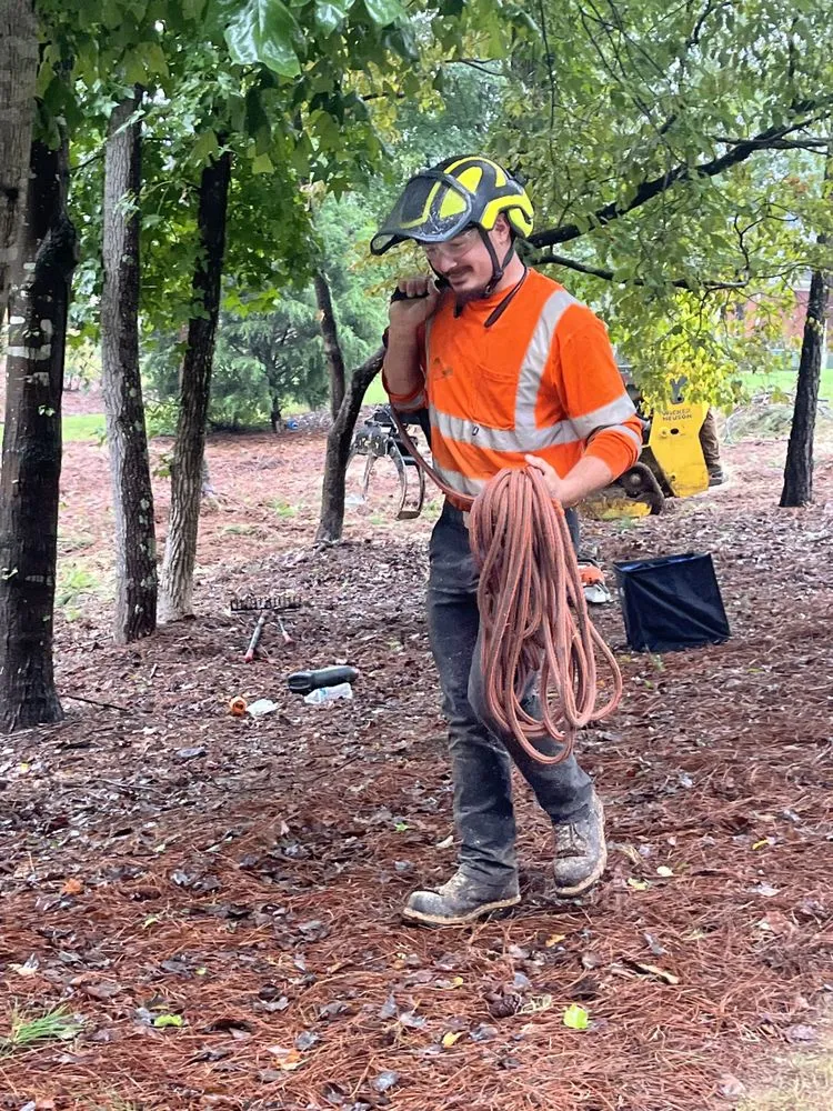 Custom landscape installation experts serving Flowery Branch, GA - Arborall Tree Service