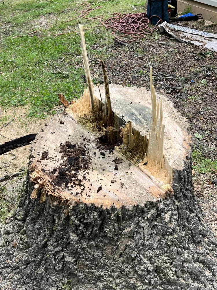 Reliable landscaping services in Flowery Branch, GA - Arborall Tree Service