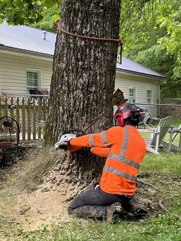 Reliable landscape installation in Flowery Branch, GA - Arborall Tree Service