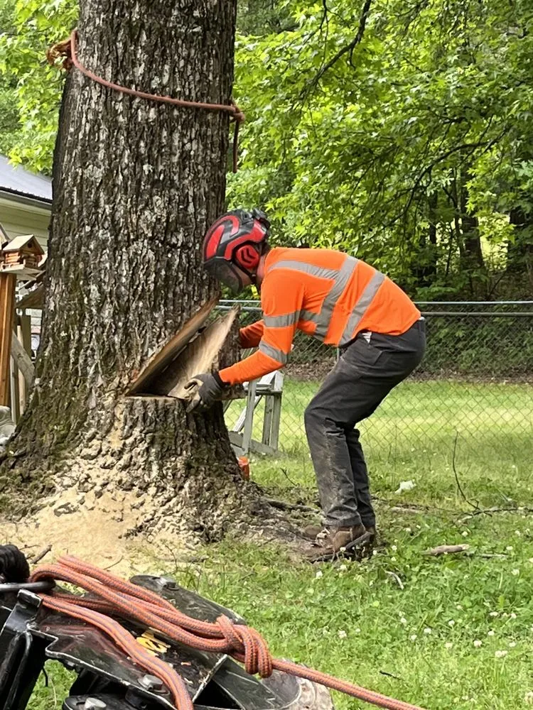 Local yard cleanup service in Flowery Branch, GA - Arborall Tree Service
