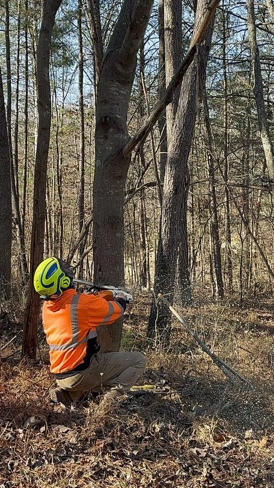 Trusted garden landscaping in Flowery Branch, GA by Arborall Tree Service