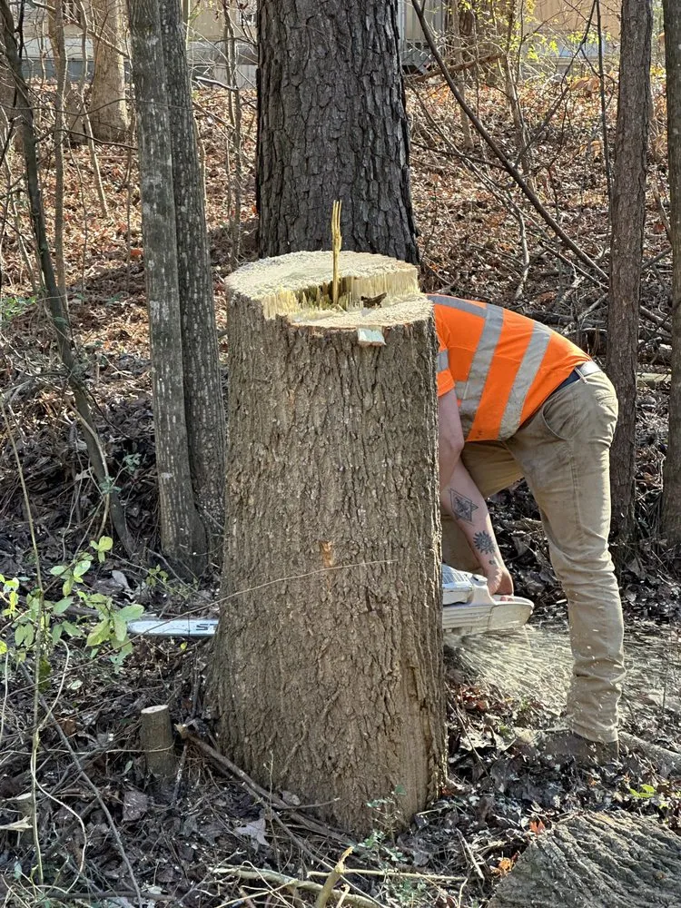 Reliable landscaping services in Flowery Branch, GA - Arborall Tree Service