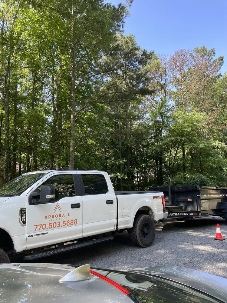 Custom lawn care service for residential properties across Flowery Branch, GA - Arborall Tree Service