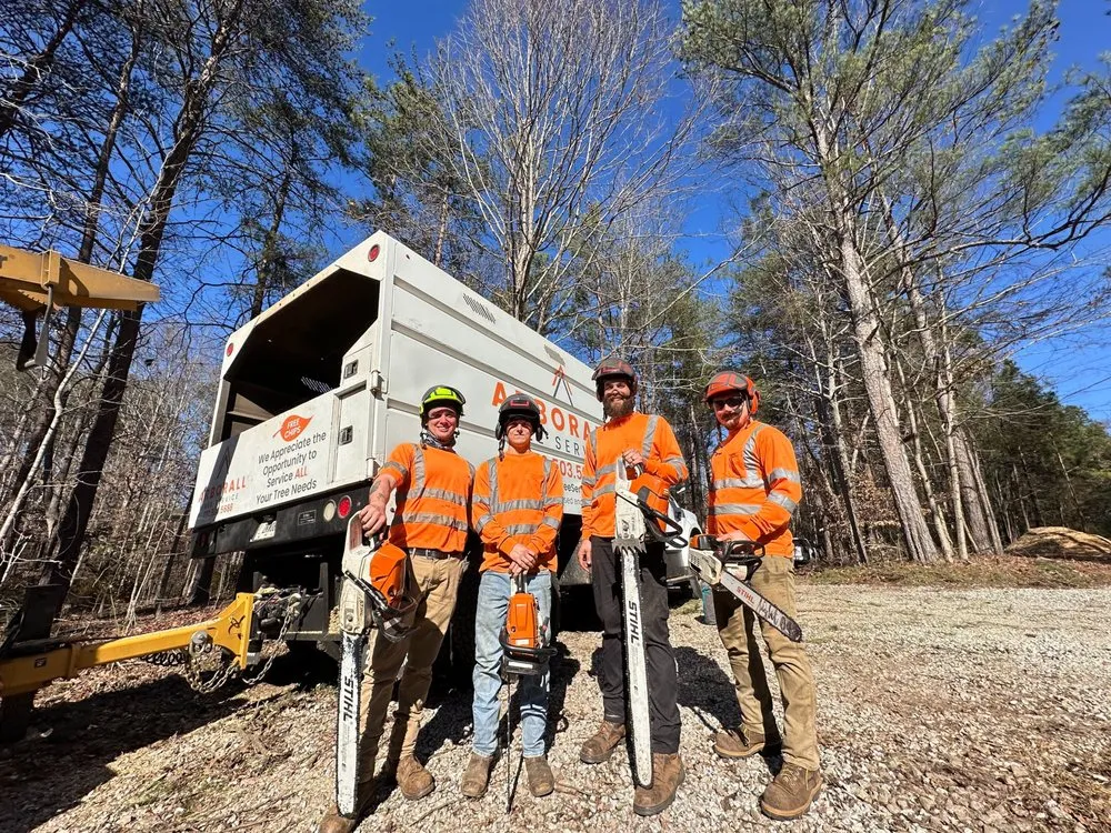 Professional yard cleanup service near you across Flowery Branch, GA - Arborall Tree Service