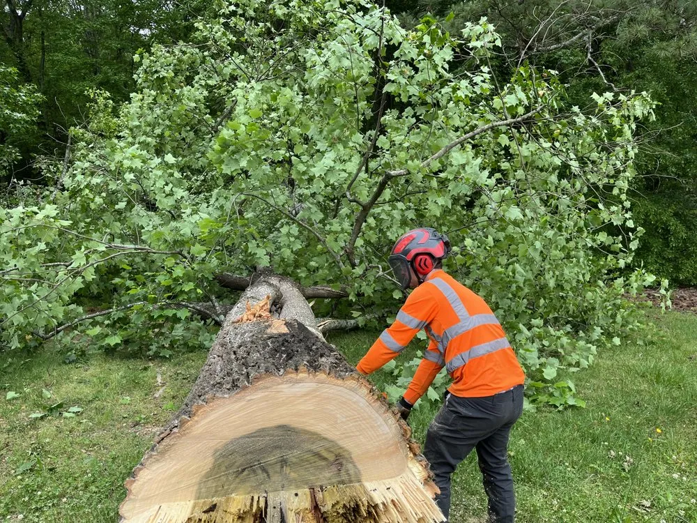 Local residential landscaping experts serving Flowery Branch, GA - Arborall Tree Service