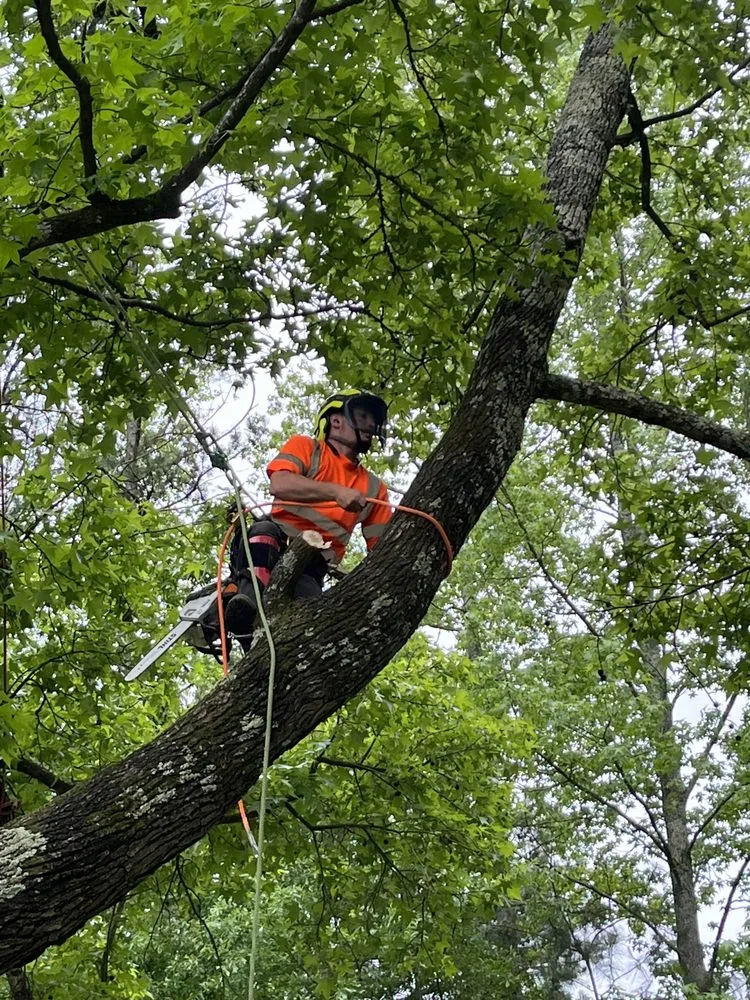 Local landscape installation in Flowery Branch, GA by Arborall Tree Service