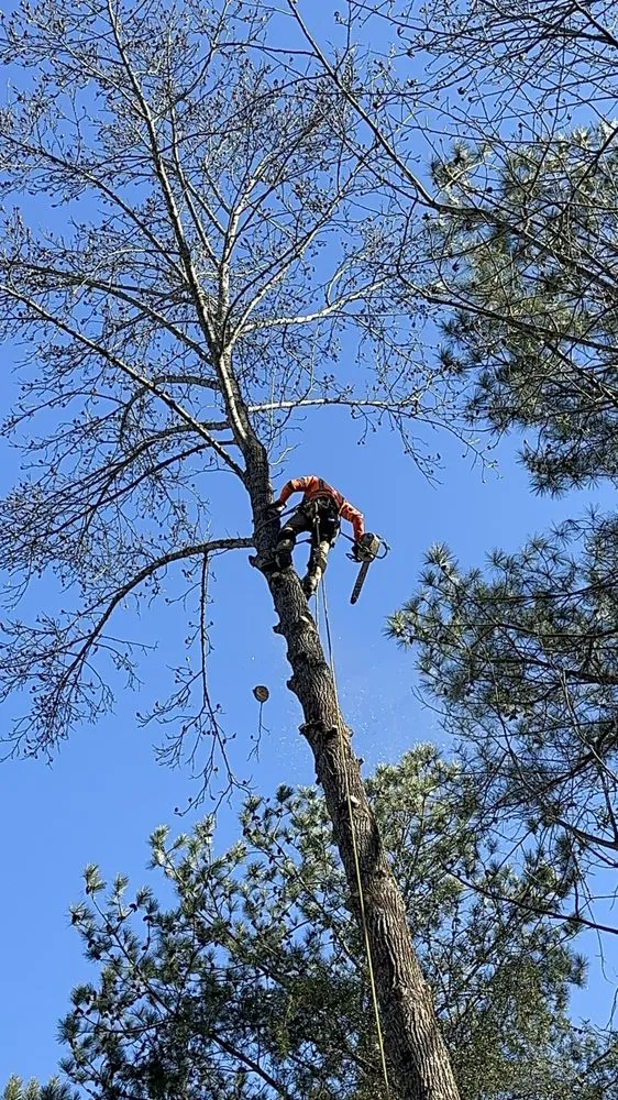 Reliable landscape installation in Flowery Branch, GA by Arborall Tree Service