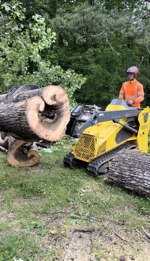 Local garden landscaping for residential properties in Flowery Branch, GA by Arborall Tree Service