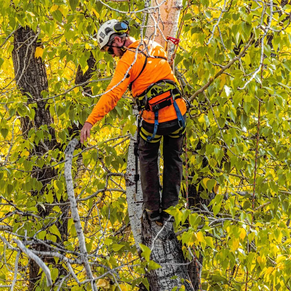 Trusted residential landscaping in Hailey, ID by ArborCare Experts