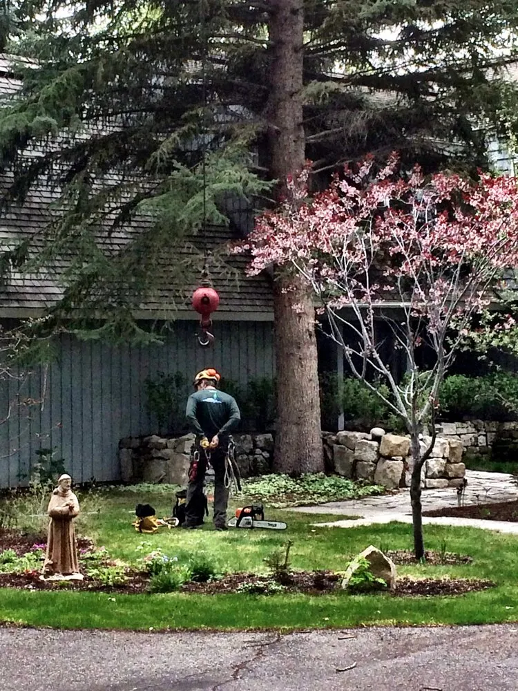 Custom landscape design for year-round maintenance in Hailey, ID by ArborCare Experts