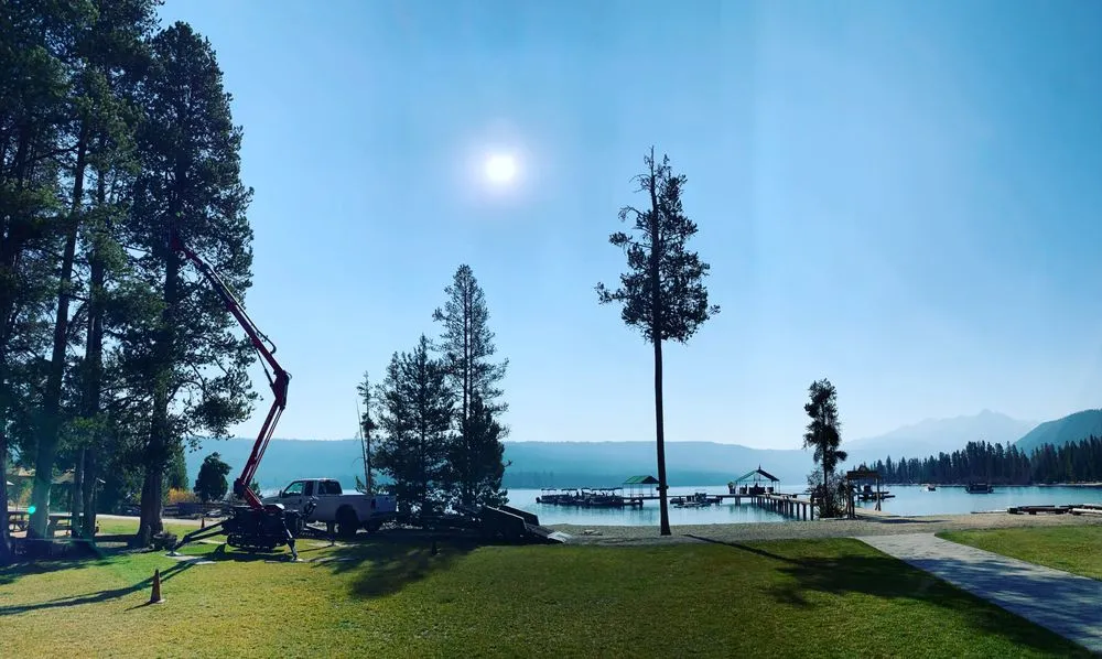 Expert yard cleanup service in Hailey, ID - ArborCare Experts