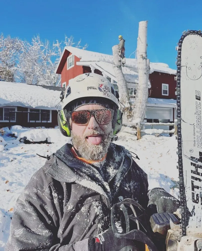 Trusted landscape design in Hailey, ID by ArborCare Experts