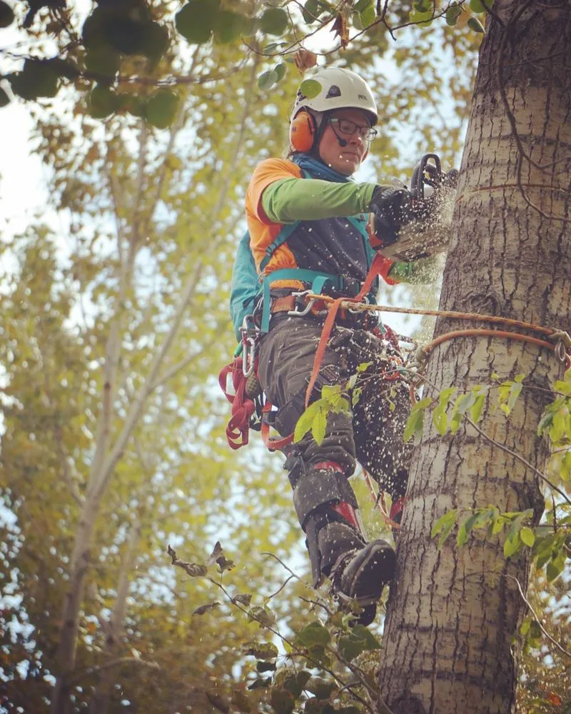 Custom landscaping services for outdoor upgrades across Hailey, ID - ArborCare Experts