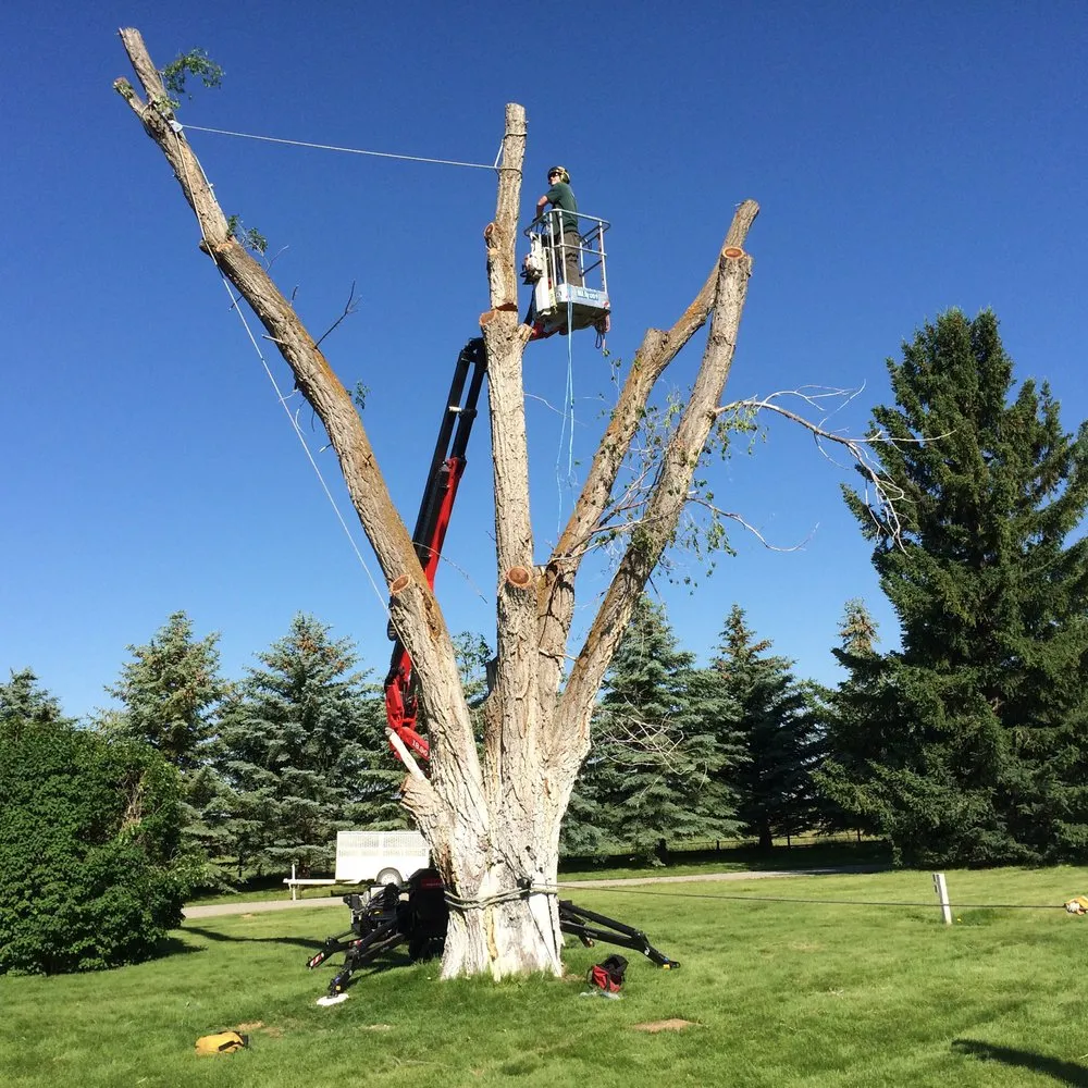 Local landscape design for homes in Hailey, ID by ArborCare Experts