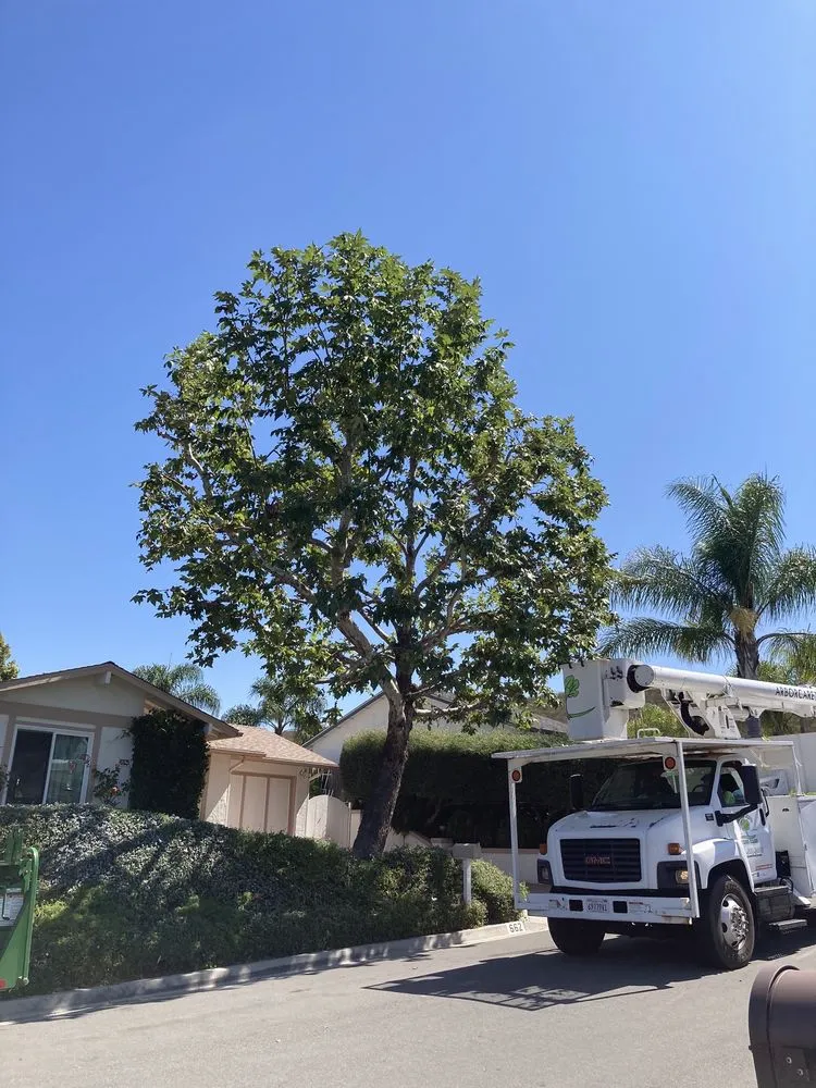 Affordable lawn mowing service for homes across Escondido, CA - ArborCare Tree Care