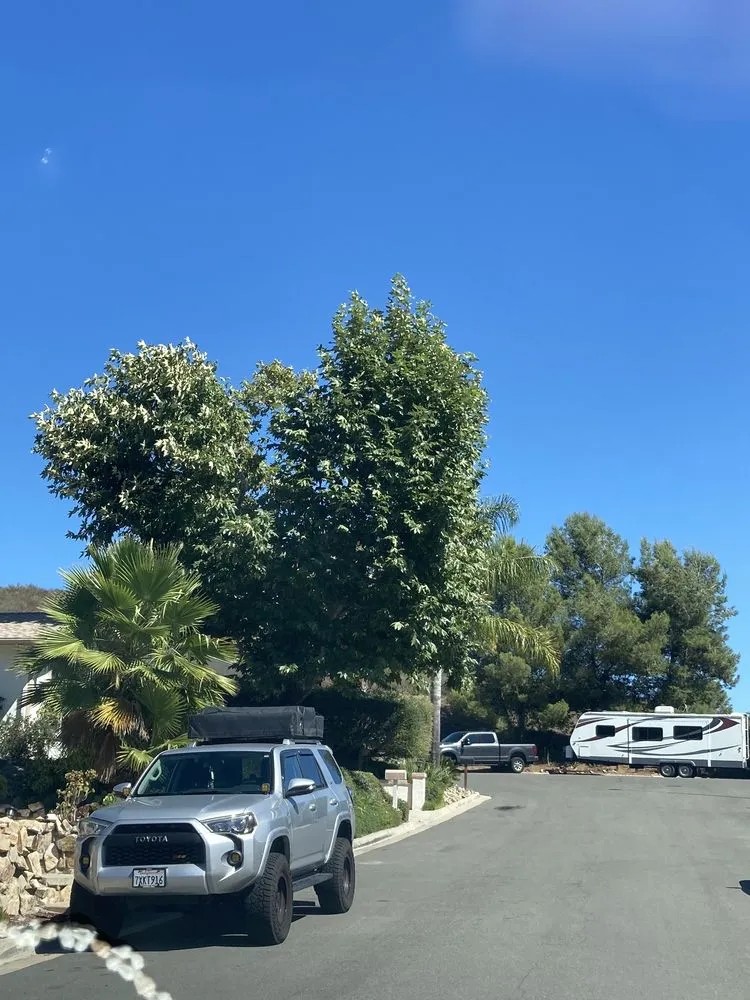 Local yard cleanup service in Escondido, CA - ArborCare Tree Care