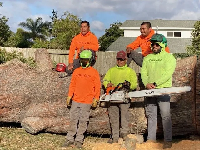 Affordable yard maintenance experts serving Escondido, CA - ArborCare Tree Care