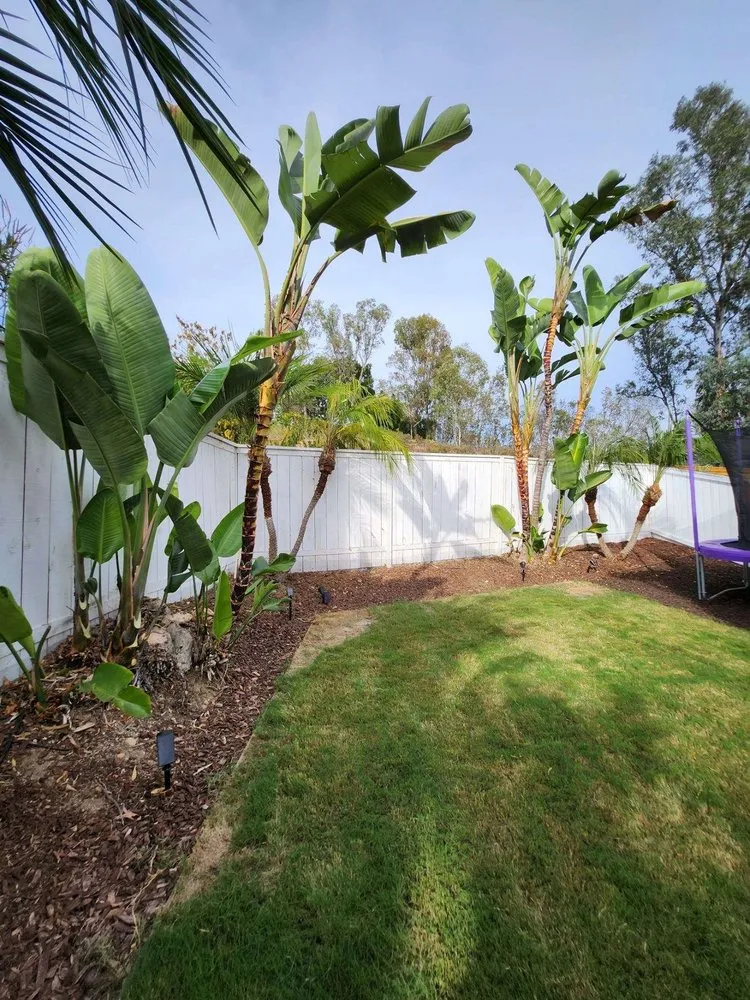 Custom lawn mowing service experts serving Escondido, CA - ArborCare Tree Care