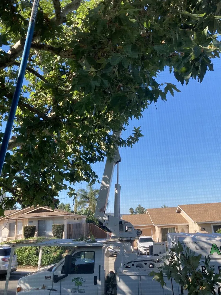 Top-rated lawn mowing service in Escondido, CA - ArborCare Tree Care