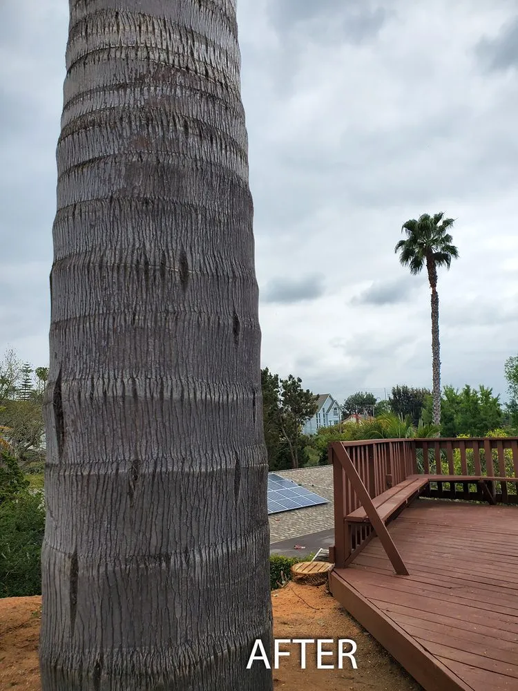 Reliable garden landscaping in Escondido, CA by ArborCare Tree Care