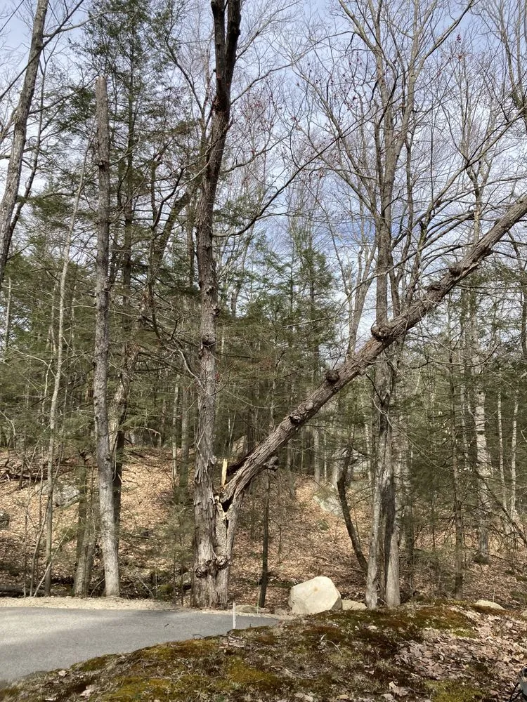 Reliable outdoor landscaping for outdoor upgrades in Strafford, NH by Arborcare Tree Service