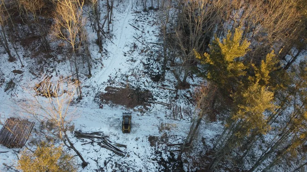 Affordable outdoor landscaping in Strafford, NH by Arborcare Tree Service