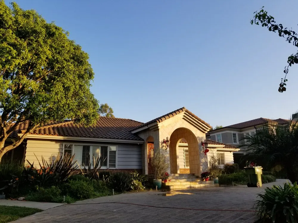 Professional yard cleanup service in Los Angeles, CA by Arborculture Tree Service