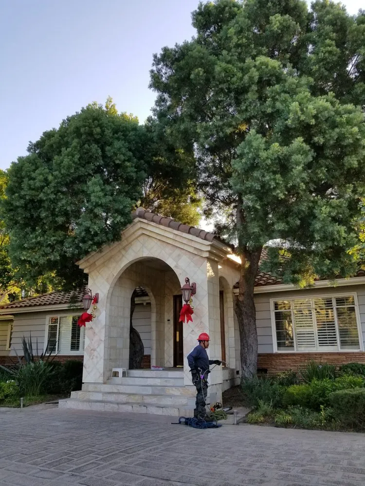 Local landscape installation for outdoor upgrades across Los Angeles, CA - Arborculture Tree Service