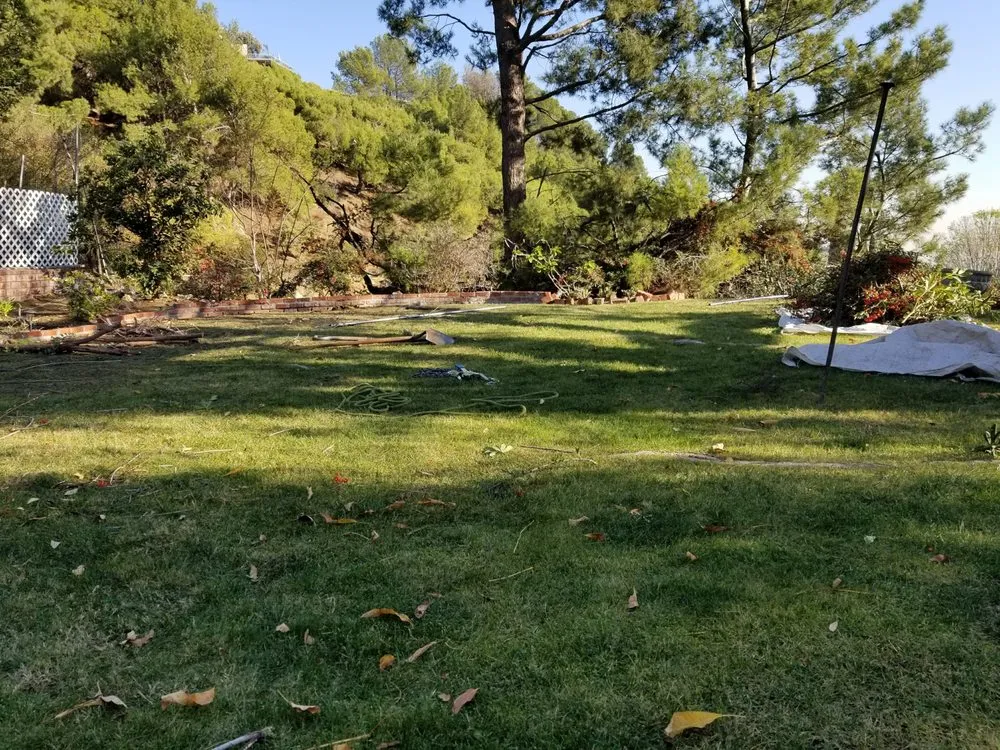 Top-rated landscaping services for year-round maintenance across Los Angeles, CA - Arborculture Tree Service