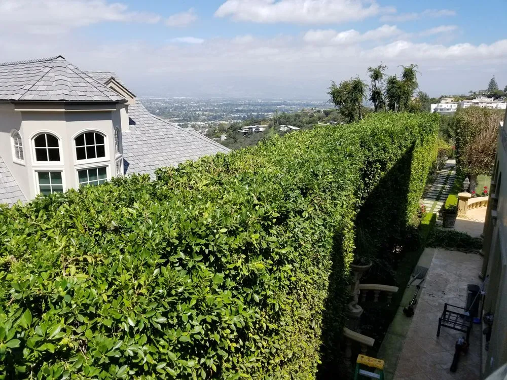 Professional landscape design for homes in Los Angeles, CA by Arborculture Tree Service