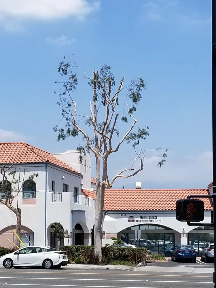 Expert landscape design for beautiful yards across Los Angeles, CA - Arborculture Tree Service