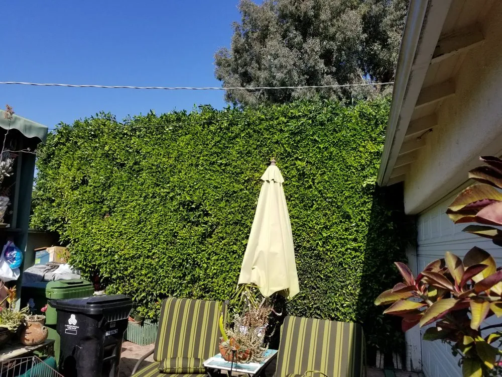 Expert lawn mowing service for beautiful yards in Los Angeles, CA by Arborculture Tree Service