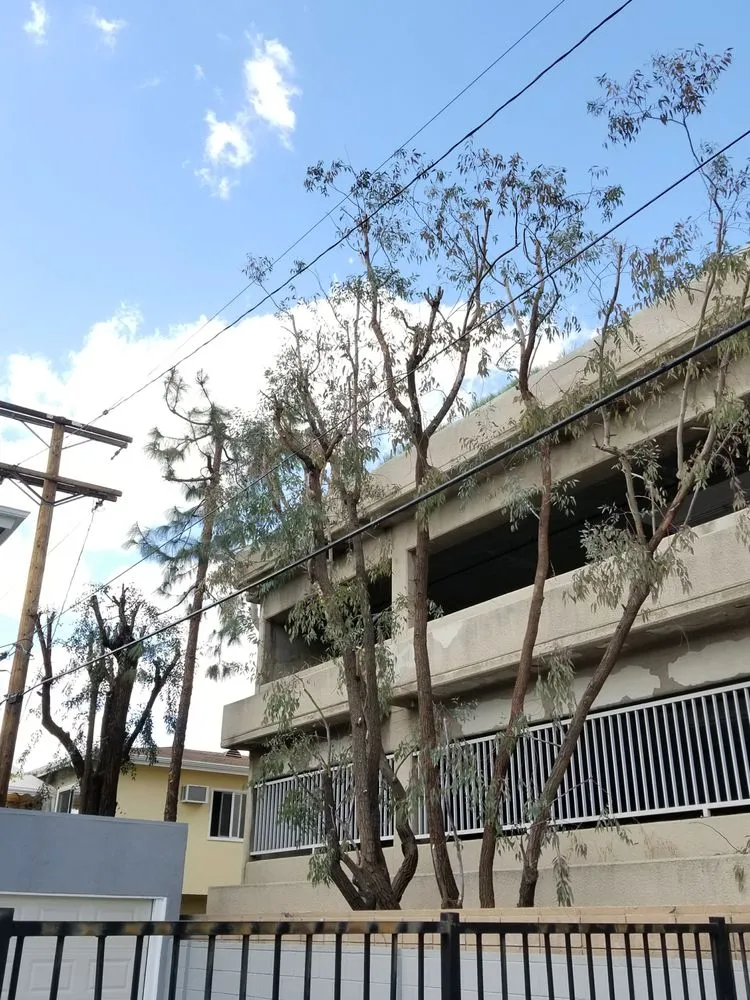 Professional lawn care service for residential properties across Los Angeles, CA - Arborculture Tree Service