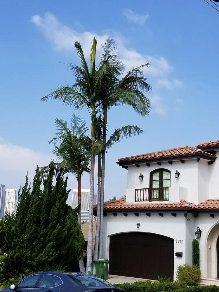 Trusted landscape installation in Los Angeles, CA by Arborculture Tree Service