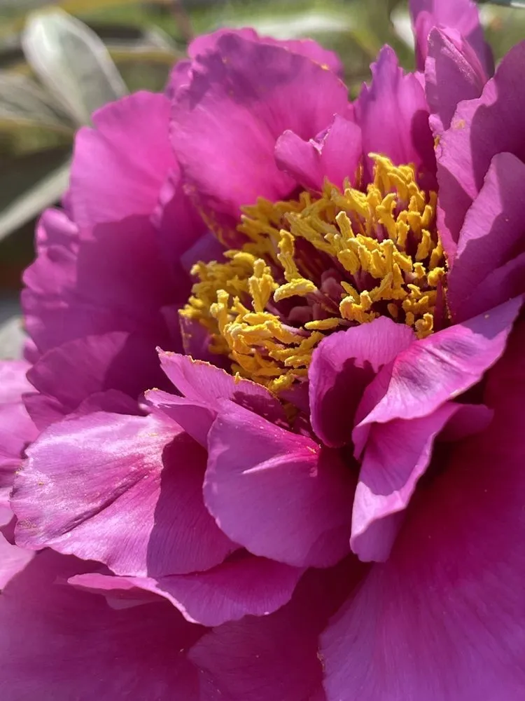 Trusted landscape design with custom design across East Amherst, NY - Arbordale Gardens